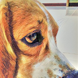 beagles beagle petsandanimals dog photography